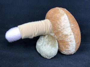 Stoffmodell Lingam