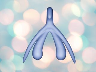 3D-Klitoris blau